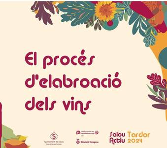 Procès d'elaboració dels vins