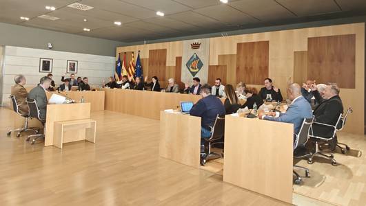 Tots els acords votats en el ple de 18 de desembre de 2024