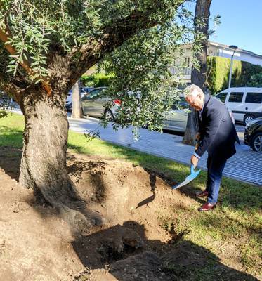 PLANTADA OLIVERA DIA MUNDIAL DEL TURISME-PAU.jpg