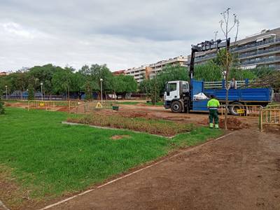 El Ayuntamiento de Salou realiza una replantación de especies en el parque Manel Albinyana para naturalizar y embellecer estéticamente la zona