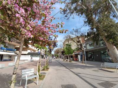 Salou continúa con los tratamientos contra roedores e insectos